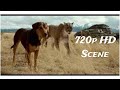 A Dog's Way Home(2019)Scene-Big Kitten Saves Bella 720p HD