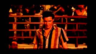 Night Rider #3   Elvis Presley