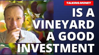 Is a Vineyard a good investment?  (Why I started one!!)