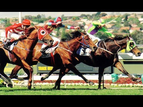 1994  MVRC W S Cox Plate