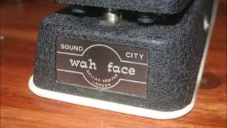 Video thumbnail for Dallas Arbiter Wah Face Sound City by Patrick Hoss