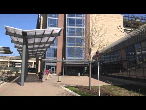 City Colleges of Chicago-Harry S Truman College - video