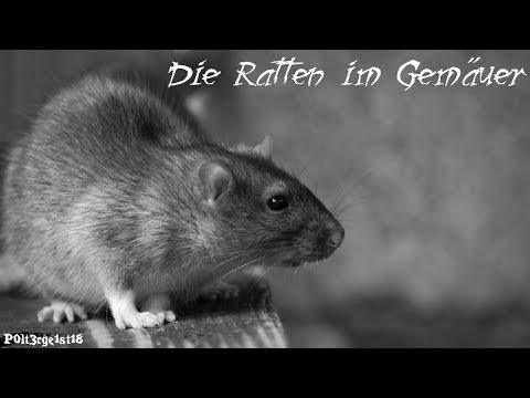 H.P. Lovecraft: Die Ratten im Gemäuer