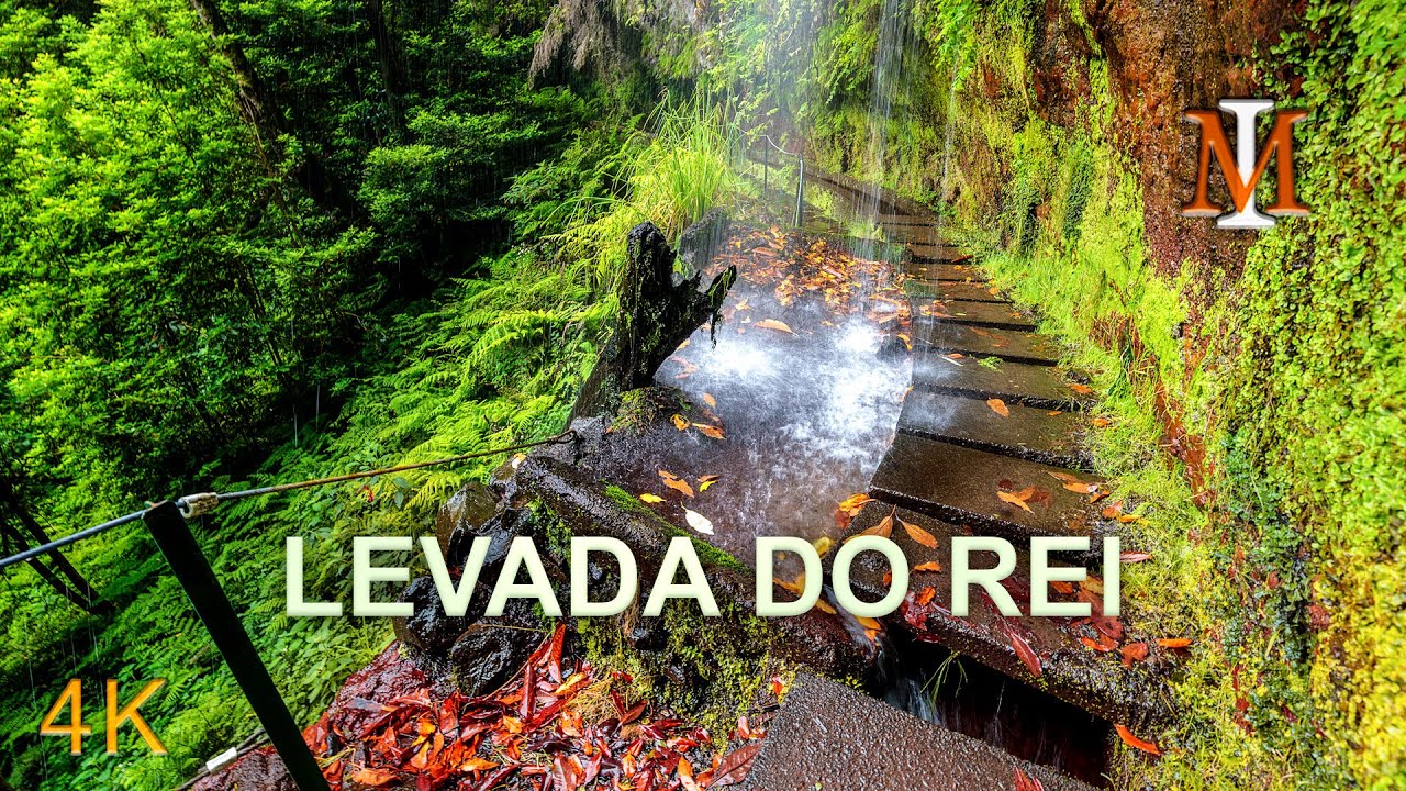 Experience a virtual hike along Levada do Rei.