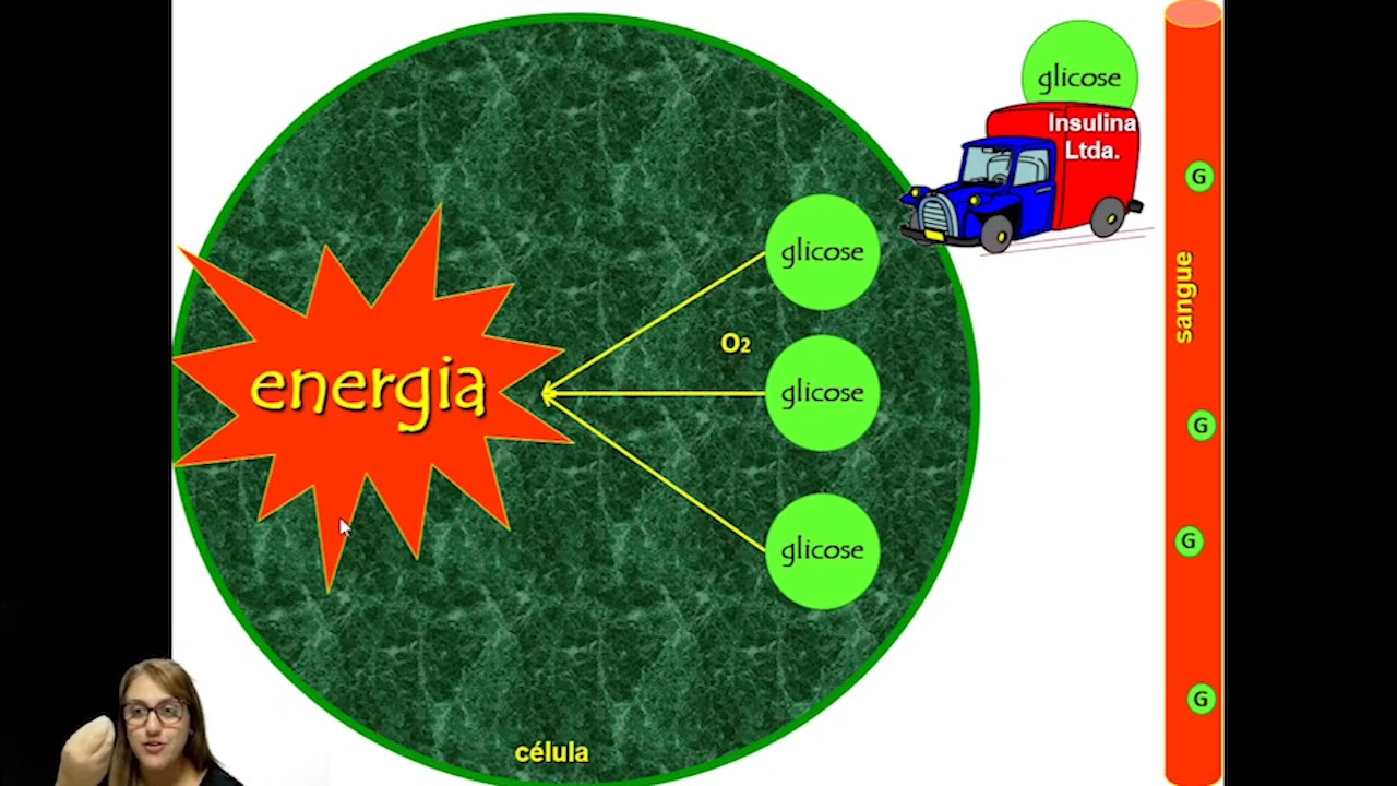 Diabetes (parte 1) - Terapia Nutricional e Gastronomia Hospitalar