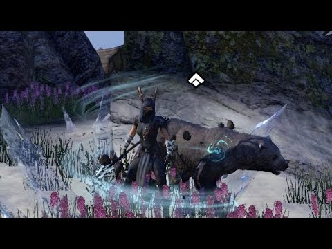 Magicka Warden PVE Build -103k+ ESO