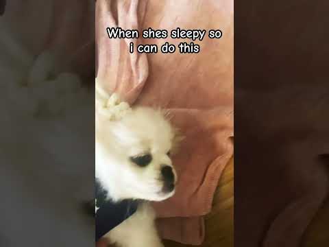 No animal abuse #hashtag #adorable #aesthetic