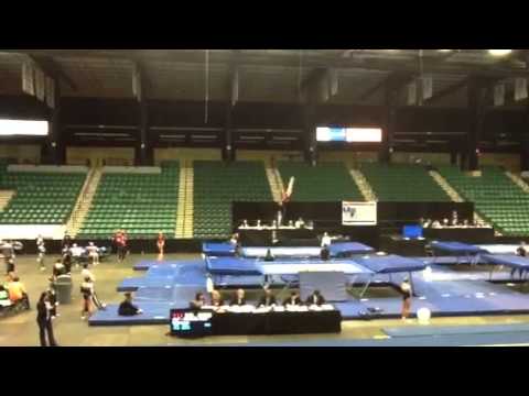 Ginger - Elite Challenge 2013 - tramp #1