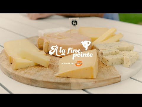Teaser - À la fine pointe - Ferme Phylum
