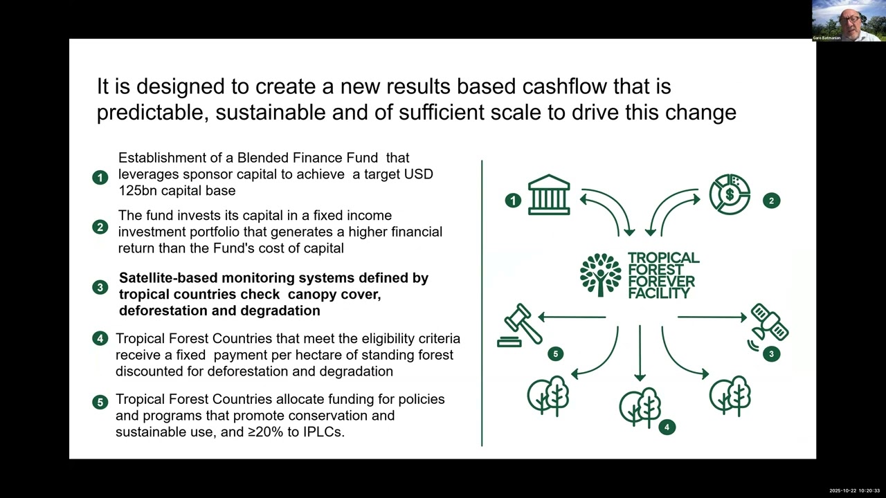 Tropical Forest Forever Facility: Eligibility and Monitoring | GFOI Plenary 2025