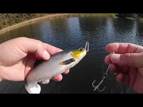 Pikecraft The System - Shallow Screw Montage für Big Baits