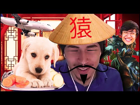 PORQUÊ O MUCA NÃO GOSTA DO TINOWNS?