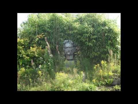 a look at Norwood Gardens, west wales