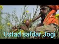 Safrdar Jogi Bohut Khubsurat Pyara Murali Song Suna Raha Hay Dangal Naagin And Vlogs