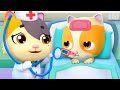 Bayi Kucing Timi Tidak Takut Minum Obat Lagu Kebiasaan Baik Anak BabyBus Bahasa Indonesia