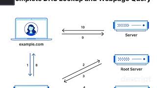 DNS Basics for Beginners: How Websites Resolve to IP Addresses