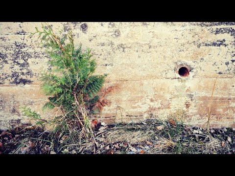 14 BILDER från Västra GÄRESTADSVÄGEN - 210423 - Ronneby - BLEKINGE - Huawei p30 PRO