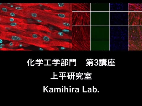 九州大学工学部オープンキャンパス2020（化学工学科　Lab3　工学×バイオ＝ニューバイオテクノロジー：医薬・医療のための新技術開発）