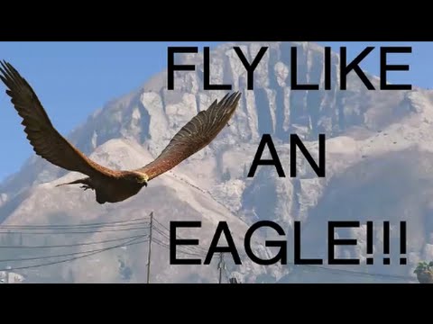 FLY Like An Eagle -  ROCKSTAR EDITOR