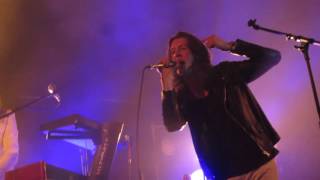 Blossoms - Deep Grass