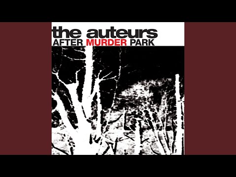 Married to a Lazy Lover - The Auteurs