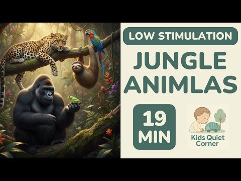 LOW STIMULATION Jungle Animals for Toddlers! 🦍 19 Mins Calm Action | Kids Quiet Corner