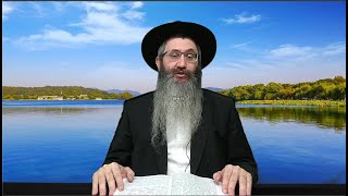 פרשת ויחי