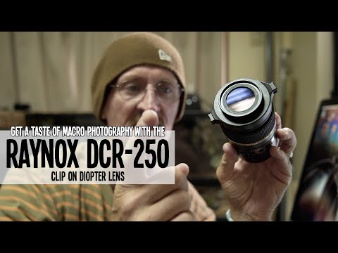 Raynox DCR-250 Clip On Macro Diopter Lens.