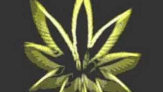 Crucial Conflict - Roll Something