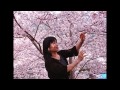 Anh – Sakura và em (Nhật Bản, Япония, Japan) – Nhạc Triệu Lam ...