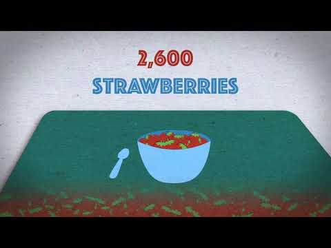 Food Residues