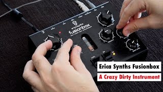 Video thumbnail for Erica Synths Fusionbox - A Crazy Dirty Analog Feedback Instrument by SYNTH ANATOMY