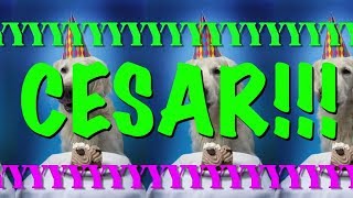 HAPPY BIRTHDAY CESAR! - EPIC Happy Birthday Song