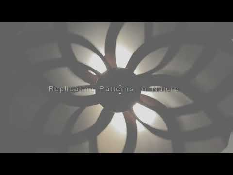 Replicating Patterns in Nature