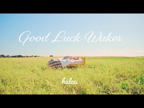ぽんのみち Good Luck Waker halca