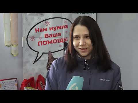 (28.04.2026) Комсомольчане помогают животным-инвалидам