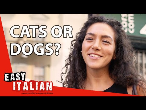 Perfect Italian Small Talk: How to Talk About Pets | Easy Italian 178