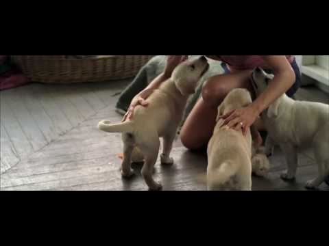 Marley & Me (Featurette)