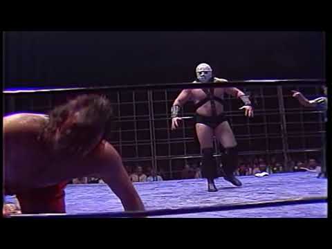 Jake Roberts vs. Lord Humongous (1985/11/29)