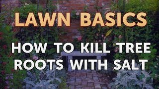 How to Kill Tree Roots With Salt