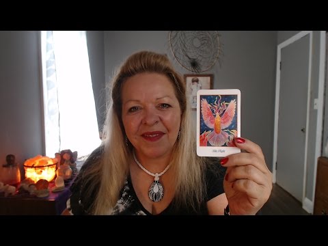 Your  Daily Focus for August 29,  2016