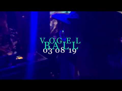 THE JUJUJUs live @ Vogelball 2019