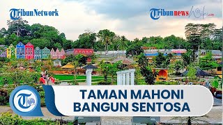Taman Wisata Mahoni Bangun Sentosa, Wisata Ala Eropa dengan Suasana Kesejukan Hamparan Padi
