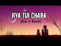 Jiya Tui Chara | (Slow + Reverb) | Arijit Singh | Biye Bhibrat | ( Lofi Songs 💗✨️)