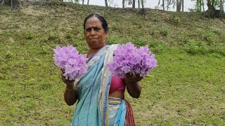 আজ রান্না পানা ফুলের বড়া সাজনা দিয়ে বুটের ডাল ♨️simple village life || village cooking