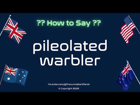 🐦🎶 How to Pronounce Pileolated Warbler? (CORRECTLY) | Pronunciation Planet