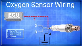 Oxygen Sensor Wiring Explained | Car Fix