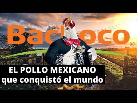 , title : 'La MAYOR EMPRESA avícola de México | Caso Bachoco'