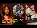 An Exclusive Interview with The Cat from A Quiet Place: Day One