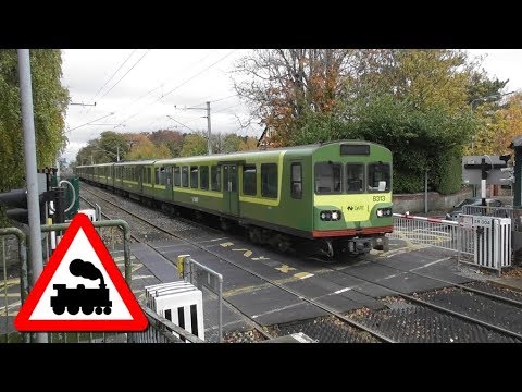 Railway Crossing - Sydney Parade Station, Dublin - IE 8300 Class Dart Train